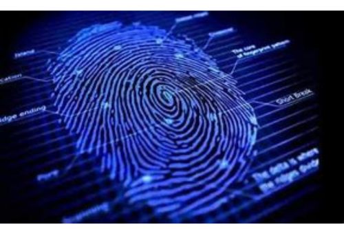 What proxy IP should be chosen for a fingerprint browser?