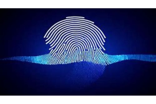 Fingerprint Browser: Can Incognito Mode Protect Users’ Online Privacy?