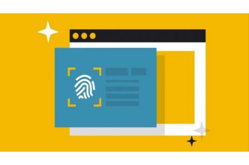 Fingerprint Browser: The Key Impact of Proxy IP Purity on Multi-Platform and Multi-Account Operations!