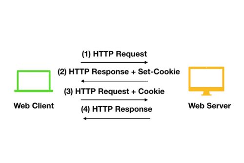 Fingerprint Browser User Guide: How to Use Cookies for Automatic Web Login?