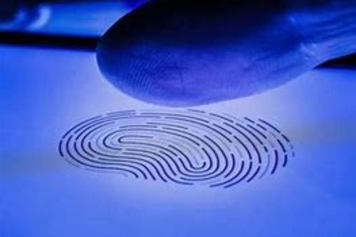 Fingerprint Browser Tutorial: How to Quickly Change Browser Fingerprints?