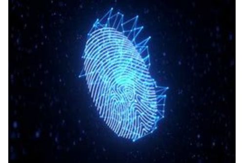 How to Choose an Overseas Proxy IP? Pairing with a Fingerprint Browser for Secure Multi-Account Protection!